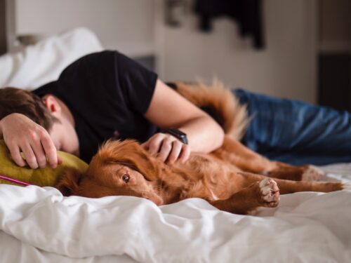 Mann und Hund schlafen im Bett
