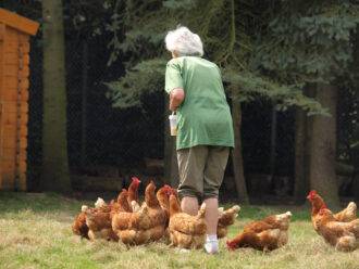 Bäuerin füttert Hühner