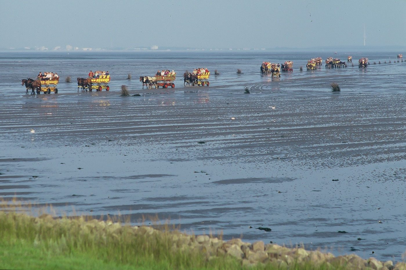 In Neuwerk kommen Kutschen über das Wattenmeer.