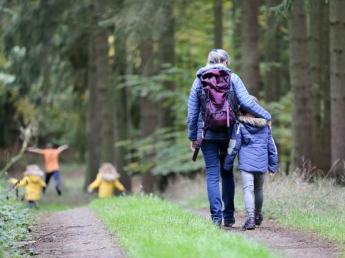 Eine Familie geht im Wald spazieren.
