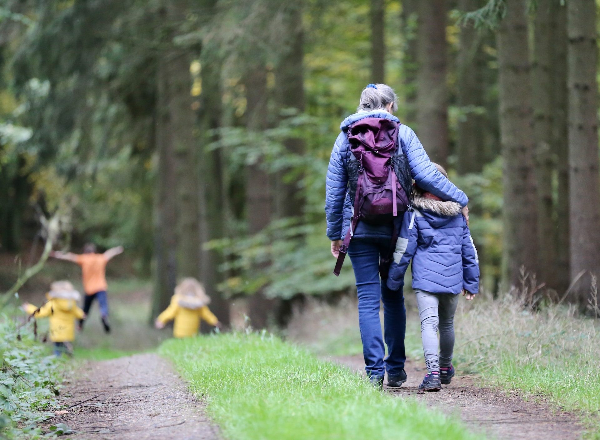 Eine Familie geht im Wald spazieren.