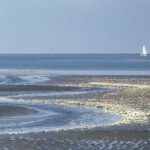 Priel im Wattenmeer