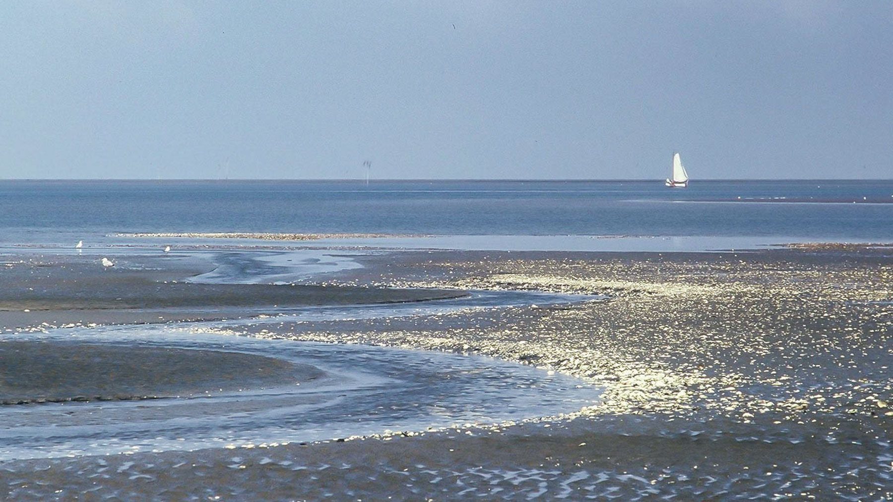 Priel im Wattenmeer