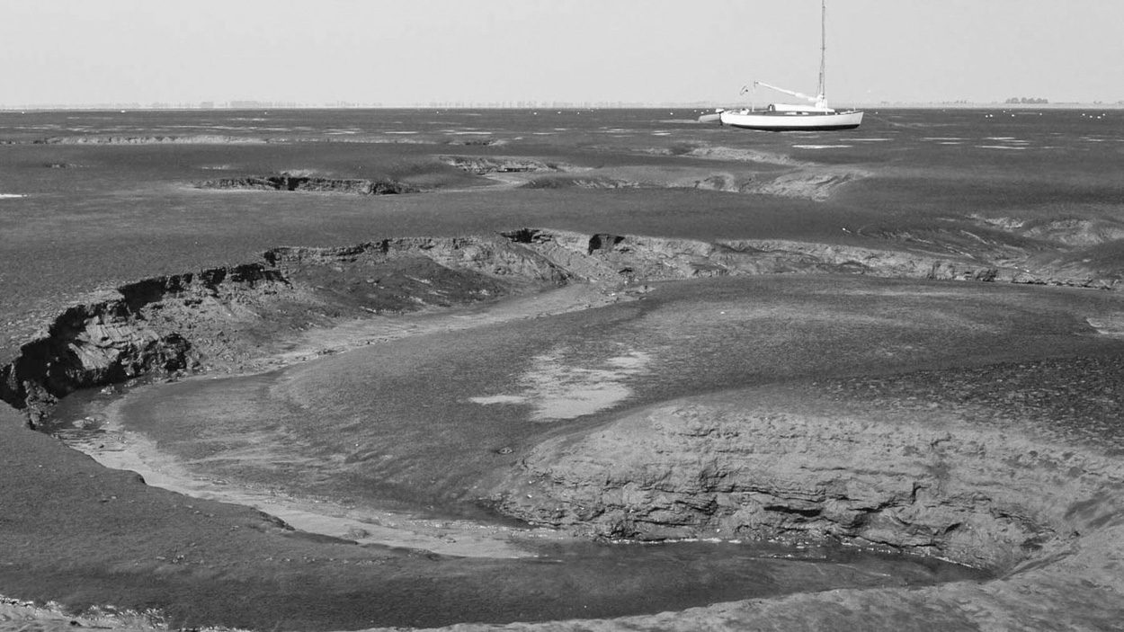 Wattenmeer