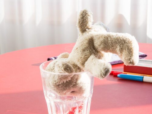 Demenz Véronique Hoegger