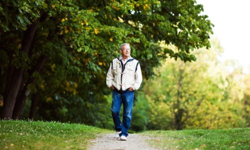 Modul 6: Orientierung (neu)