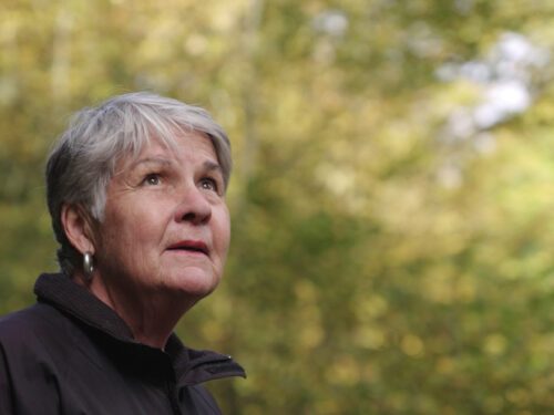Wenn die Erinnerung verblasst_Birgitta Martensson-2