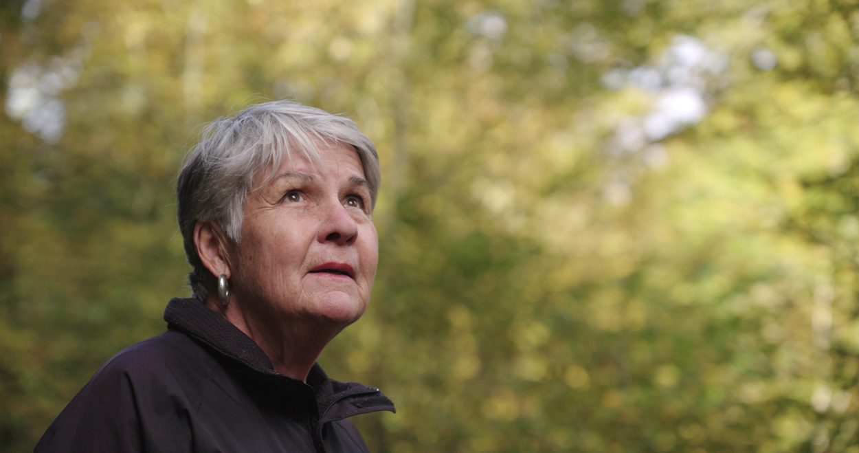 Wenn die Erinnerung verblasst_Birgitta Martensson-2